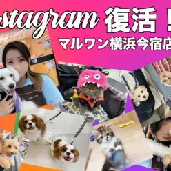 【 今宿店からのお知らせ 】インスタグラム復活のお知らせ！！