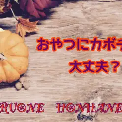 【 ホンハネ豆知識 】もうすぐハロウィン！おやつににカボチャあげてもいいの？！
