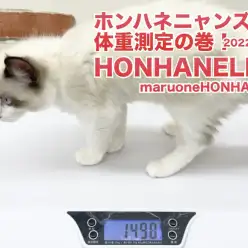 【 ホンハネライフ】体重の変動は健康状態のバロメーター