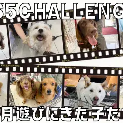 【 大倉山365チャレンジ 】過去イチの頭数が遊びにきた9月の結果！