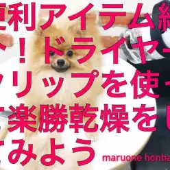 【 ドライヤークリップ 】超便利！ワンコのドライヤーを楽にするアイテム！