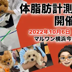【 今宿店イベント情報 】10/6（木）ワンちゃんの体脂肪測定会のお知らせ！