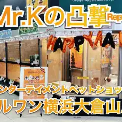 【 マルワン大倉山店のここがすごい 】毎日来ても楽しい店鋪を凸してみた！