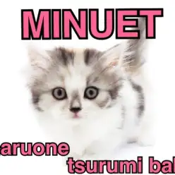 【 ミヌエット 】これぞ！「和風ミヌエット」最強癒しにゃんこ！