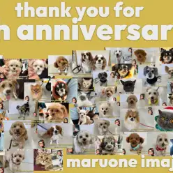 【 周年祭 】53頭のワンニャン大集合！マルワン横浜今宿店6歳のバースデー！