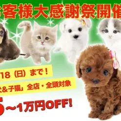 【 お客様大感謝祭開催 】マルワンからクリスマス企画はじまります！