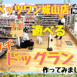 【 お知らせ 】もっとワンちゃんネコちゃんとお客様が近いお店に！