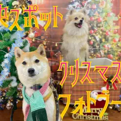 【 クリスマスフォト 】好評のフォトブースで思い出つくり！！
