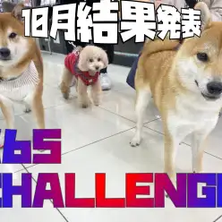 【大倉山365チャレンジ】新記録達成！！の10月の結果発表！