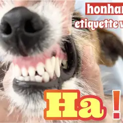 【 トレーニング 】歯は命！ホンハネエチケットvol.1