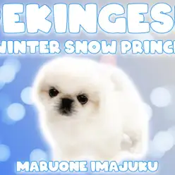 【 ペキニーズ 】純白のぺちゃ顔に癒される！むっちりボディのイケメン登場！