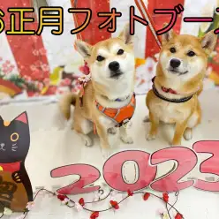 【 正月フォト 】大好評のフォトブースでお正月の記念写真を撮ろう！