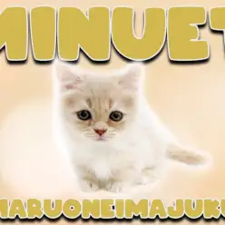 【 ミヌエット 】クリームカラー・短足・丸顔ハイブリッド！生活ポイントもご紹介！