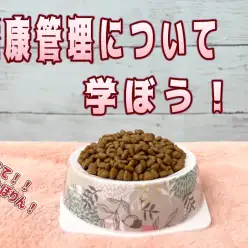【 愛犬＆愛猫の健康管理 】必須栄養素やチェック項目大公開！（付録付き）