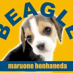 【 ビーグル 】本羽田についに降臨！絶対見てほしい森のトランペッター！