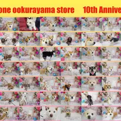 【 10周年 】59頭の卒業生で大倉山店10歳のバースデーパーティー！