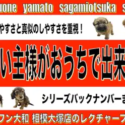 【 おうちで出来る 】プロも実践！初心者でも分かる、真似できるペットのアレコレ