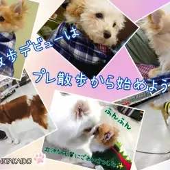 【 お散歩デビューはプレ散歩から！ 】高井戸ベイビーズお散歩デビューへの道！