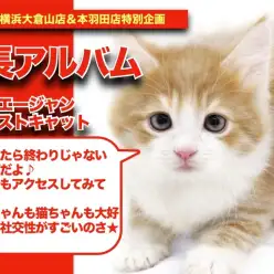 【 ノルちゃん の成長アルバム】社交性が凄すぎると話題のノルちゃんの成長記！