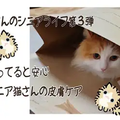 【 お役立て情報 】第3弾 知ってると安心！シニア猫さんの皮膚ケア