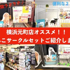 【 商品レビュー 】わんちゃんお迎えの強い味方！元町サークルセットご紹介！！