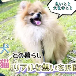 【 ペットとの暮らし 】動物たちがいて良かった！動物との暮らしは癒しだけではない