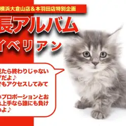 【 サイベリアンのアルバム 】マルワンナンバーワンの性格の持ち主の成長記録