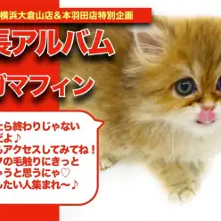 【 ラガちゃんの成長アルバム 】モフモフな触り心地に惚れちゃうラガちゃんの成長記！