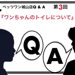 【 ペッツワン城山店Q＆A 】第3回『ワンちゃんのトイレについて』