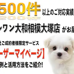 【 ユーザーマイページ 】ご対応実績1500件以上の相模大塚店が送る上手な活用法