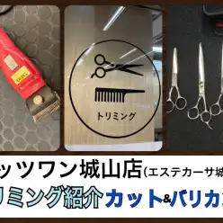 【 サロン 】ペッツワン城山店のトリミング紹介カット&バリカン編