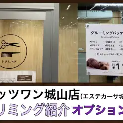 【 サロン 】ペッツワン城山店のトリミング紹介オプション編
