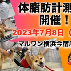 【 今宿店イベント情報 】7/8（土）ワンちゃんの体脂肪測定会のお知らせ！