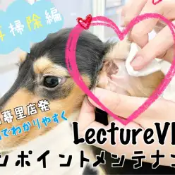 【 レクチャーvlog 】東日暮里店発、動画でワンポイントレクチャー！耳掃除編