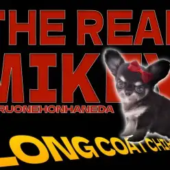 【 チワワ 】小さめボディが愛らしい最高のブラック系チワワ！