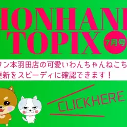 【 HONHANE トピックス7月号 】マルワン本羽田店の7月の情報配信！