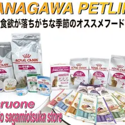 【 神奈川ペットライフ 】ワンちゃん＆ネコちゃんの食欲減退の季節にオススメフード