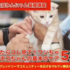迷ったらコレ見て!ワンちゃん・ネコちゃんの基本のケア5選!