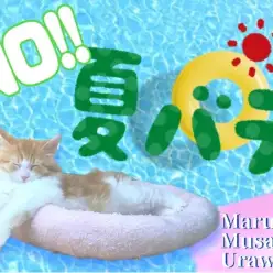 【 夏バテ対策 】愛するご家族に快適な夏を！今日から始める夏バテ対策法をご紹介