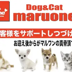 【 サポート 】業界屈指！マルワンの真骨頂はお客様を徹底サポートしつづけること。