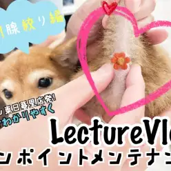 【 レクチャーvlog 】東日暮里店発、動画でワンポイントレクチャー！肛門腺編