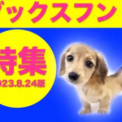 【 ダックスフント特集 】8/24現在在店中の胴長短足が愛らしい小型犬をご紹介！