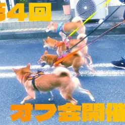 【 オフ会 】第4回目オフ会！半年ぶりの開催！一緒に秋の訪れを感じよう！