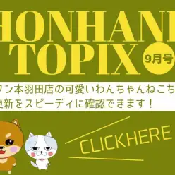 【 HONHANEトピックス9月号 】マルワン本羽田店の9月の情報配信！