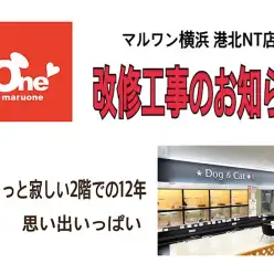 【 お知らせ 】改装に伴う休業について