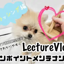 【 レクチャーvlog 】東日暮里店動画でワンポイントレクチャー！ブラッシング編