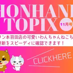 【 HONHANEトピック11月号 】マルワン本羽田店の11月の配信情報！