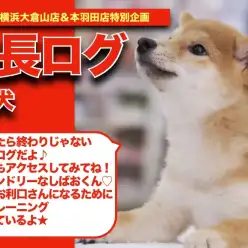 【 しばおの成長アルバム 】もっとお利口さんになっちゃうぞ！しばおの成長記！