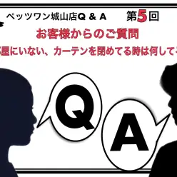 【 城山店Q＆A 】第5回『部屋にいない、カーテンを閉めてる時は何してる？』