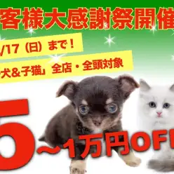 【 お客様大感謝祭開催 】マルワンサンタからの特別なプレゼント！